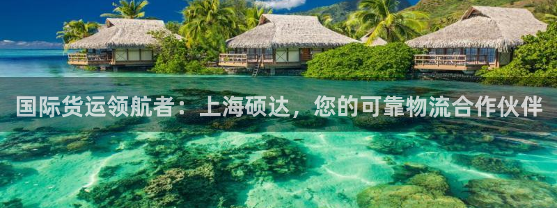 尊龙人生就是博首页入口：国际货运领航者：上海硕达，您的可
