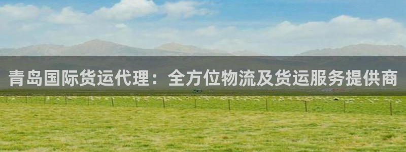 尊龙电子：青岛国际货运代理：全方位物流及货运服务提供商