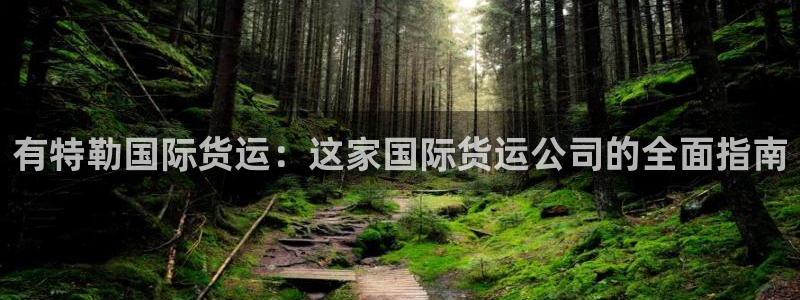 尊龙官网免费下载：有特勒国际货运：这家国际货运公司的全面