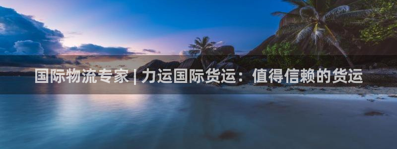 尊龙凯时网娱乐最新版下载：国际物流专家 | 力运国际货运