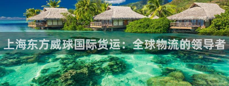 尊龙凯时城娱乐：上海东方威球国际货运：全球物流的领导者