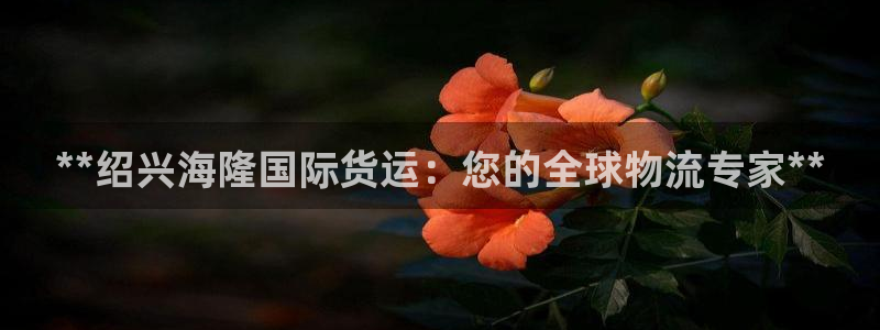 尊龙人生就是博网站：**绍兴海隆国际货运：您的全球物流专