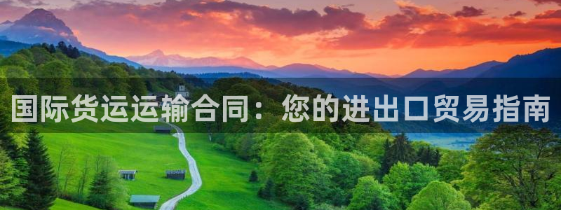 尊龙凯时人生就是搏官：国际货运运输合同：您的进出口贸易指