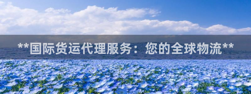 尊龙体育电竞官网：**国际货运代理服务：您的全球物流**