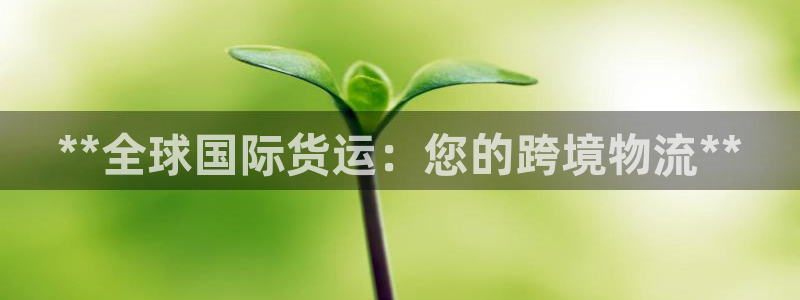 尊龙d88手机登录免费下载：**全球国际货运：您的跨境物