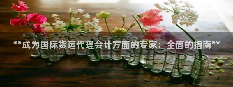尊龙500价格：**成为国际货运代理会计方面的专家：全面
