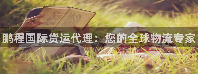 尊龙凯时 人生就是搏!平台：鹏程国际货运代理：您的全球物