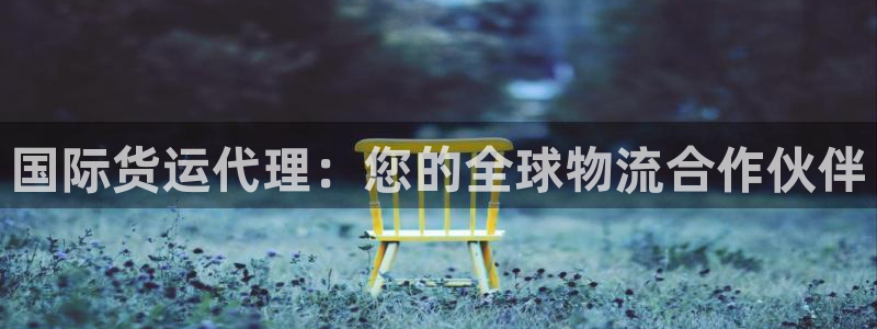 尊龙专访：国际货运代理：您的全球物流合作伙伴