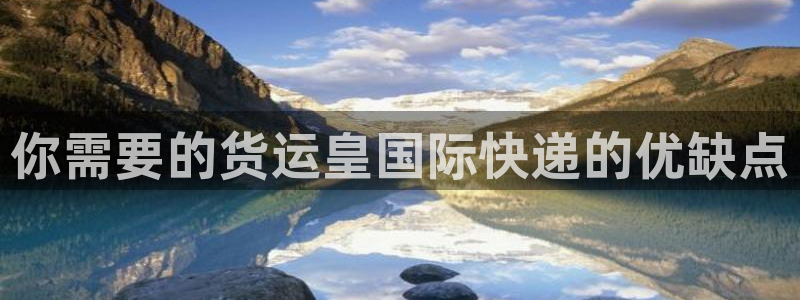 尊龙软件下载：你需要的货运皇国际快递的优缺点