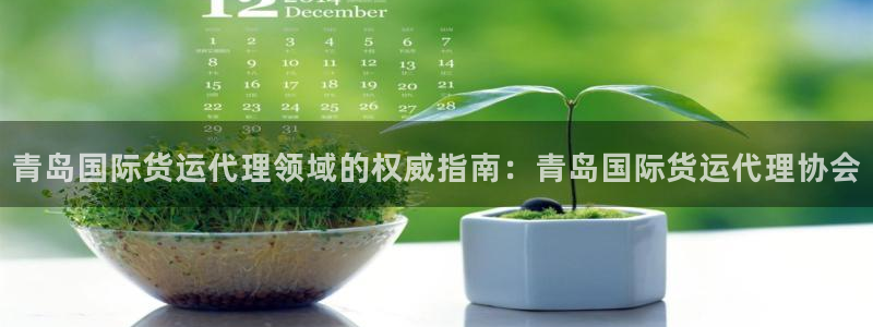 尊龙凯时人生就是搏 品牌专区：青岛国际货运代理领域的权威
