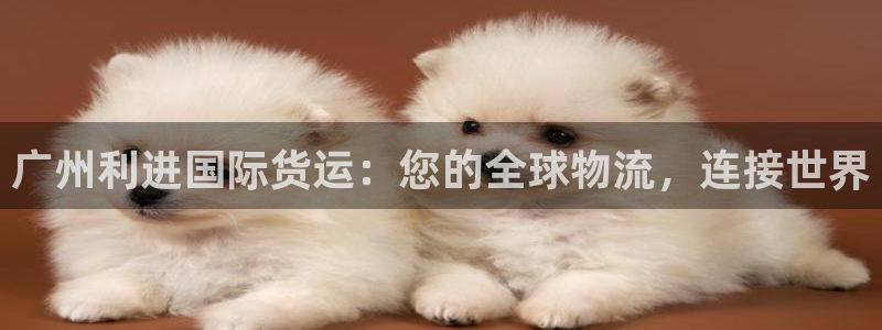 尊龙人生就是博官：广州利进国际货运：您的全球物流，连接世