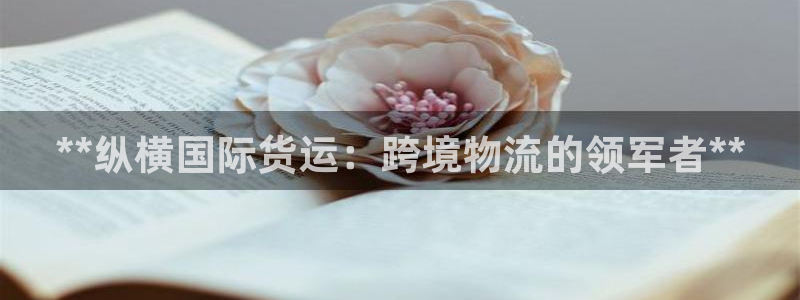 尊龙凯时人生就是搏官：**纵横国际货运：跨境物流的领军者