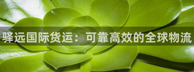 尊龙现金d88：驿远国际货运：可靠高效的全球物流