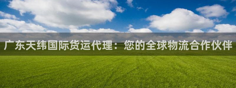 尊龙凯时人生就博官网登录：广东天纬国际货运代理：您的全球