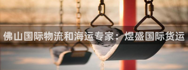 z6尊龙凯时：佛山国际物流和海运专家：煜盛国际货运