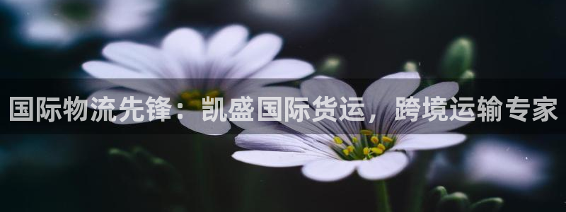 尊龙凯时台子：国际物流先锋：凯盛国际货运，跨境运输专家