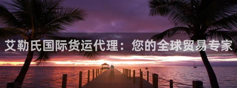 尊龙新版app首页：艾勒氏国际货运代理：您的全球贸易专家