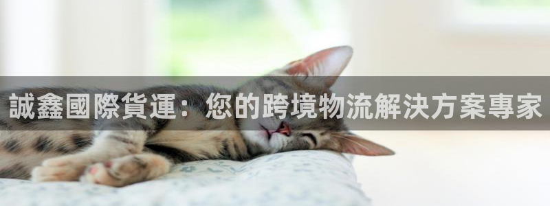 尊龙新版人生就是博!：誠鑫國際貨運：您的跨境物流解決方案