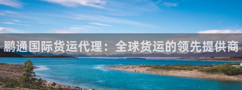 尊龙物流官网：鹏通国际货运代理：全球货运的领先提供商