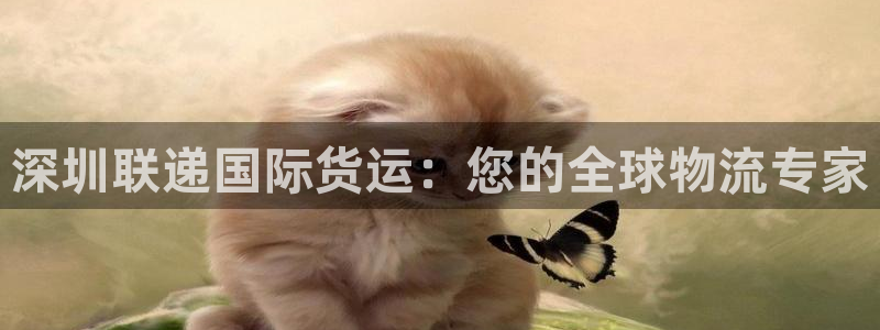 尊龙现金d88：深圳联递国际货运：您的全球物流专家
