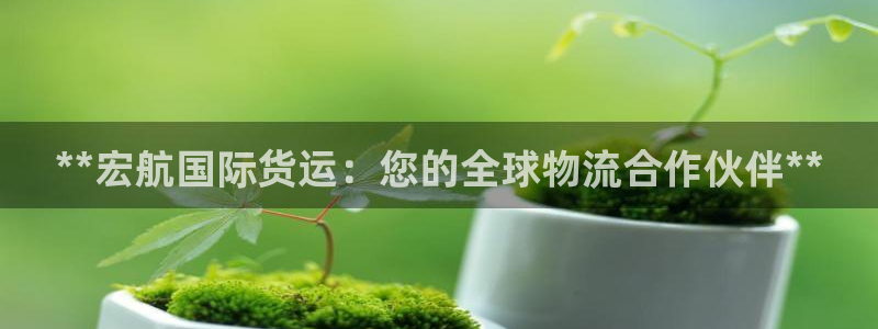 尊龙凯时口碑好吗：**宏航国际货运：您的全球物流合作伙伴
