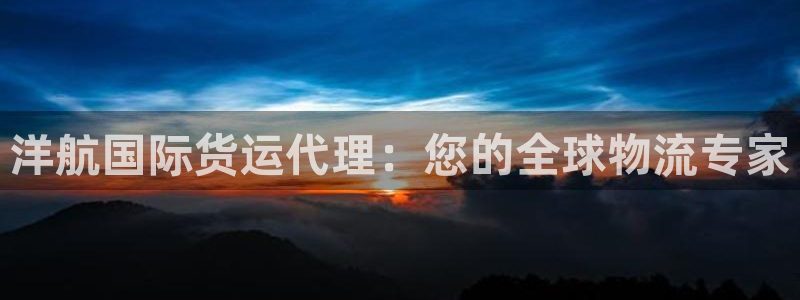尊龙凯时网站是什么地方人开的：洋航国际货运代理：您的全球