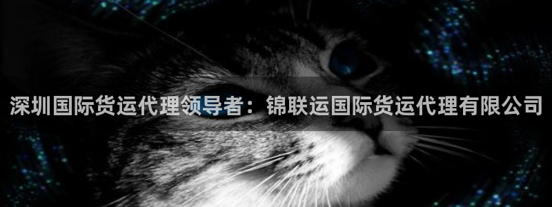 尊龙d88官网准认来就送38：深圳国际货运代理领导者：锦