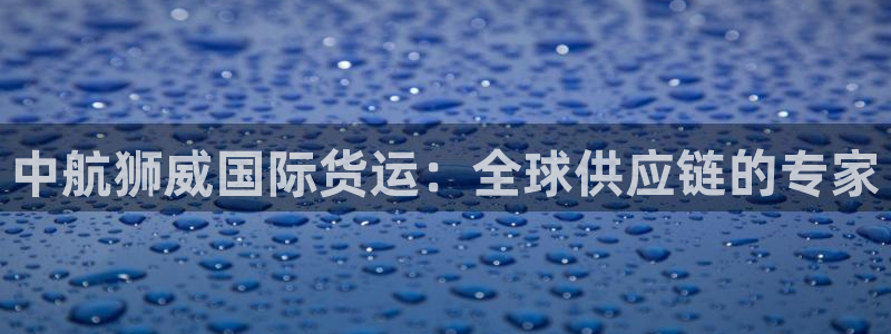 尊龙凯时的企业文化：中航狮威国际货运：全球供应链的专家