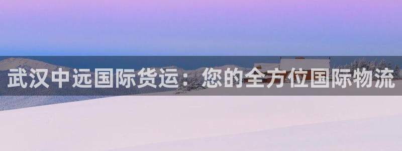 尊龙凯时 人生就是搏 平台：武汉中远国际货运：您的全方位