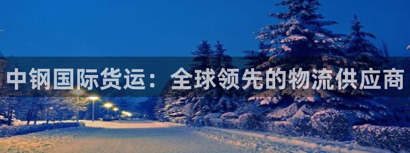 尊龙现金：中钢国际货运：全球领先的物流供应商