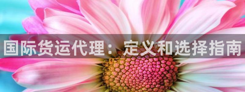尊龙专访视频：国际货运代理：定义和选择指南