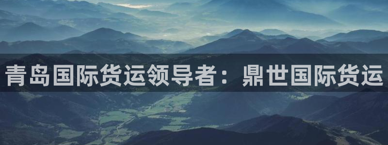 尊龙人生就是博送38：青岛国际货运领导者：鼎世国际货运