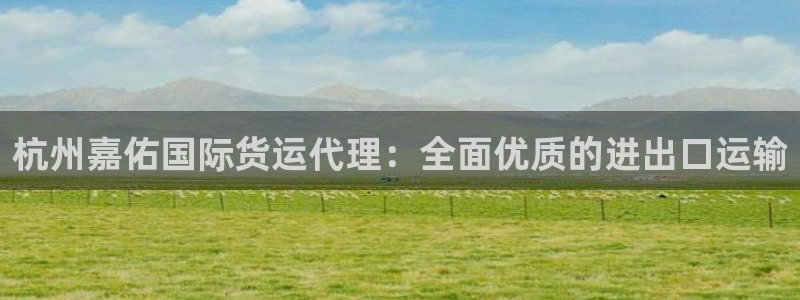 尊龙凯时不给提现怎么办：杭州嘉佑国际货运代理：全面优质的