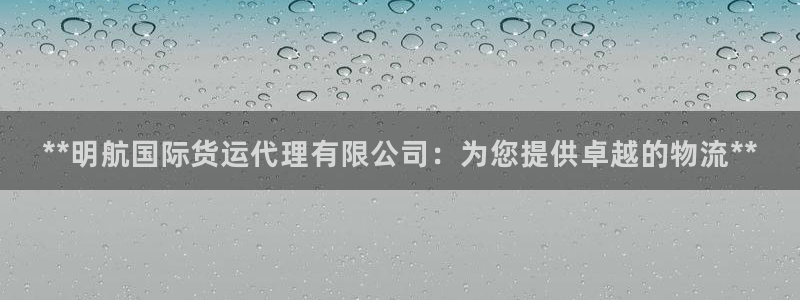 尊龙官网国际：**明航国际货运代理有限公司：为您提供卓越