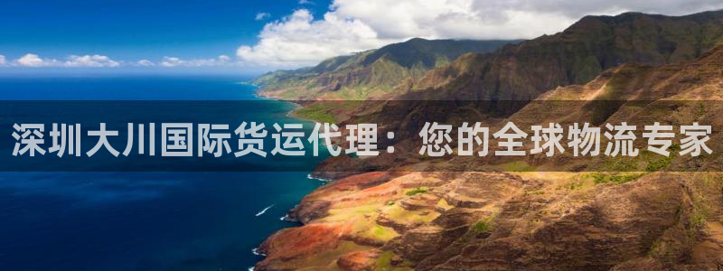 尊龙coming to my own：深圳大川国际货运代