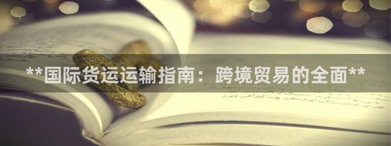 尊龙人生就是博AG：**国际货运运输指南：跨境贸易的全面