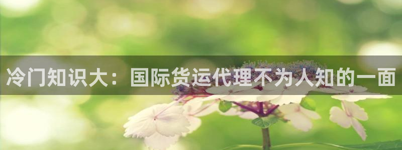 尊龙ag旗舰厅手机版