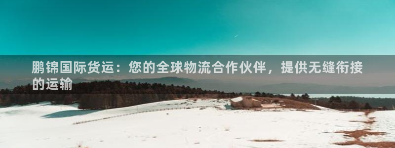 尊龙凯时不给提现怎么办：鹏锦国际货运：您的全球物流合作伙