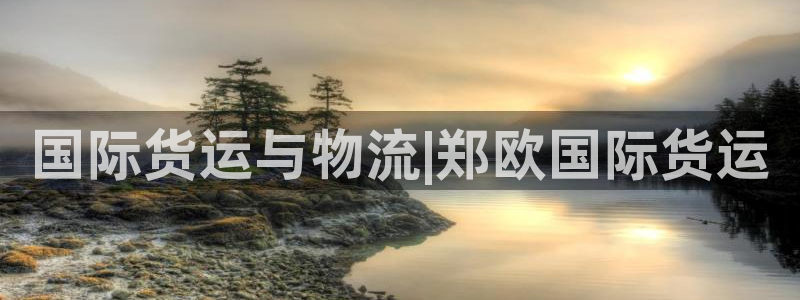 尊龙体育电竞官网：国际货运与物流|郑欧国际货运