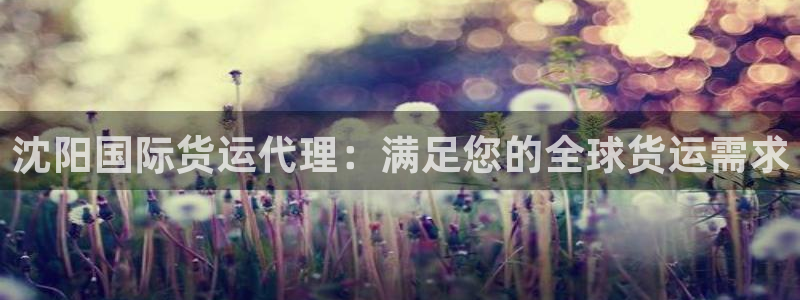 尊龙d88皆选ag发财网：沈阳国际货运代理：满足您的全球