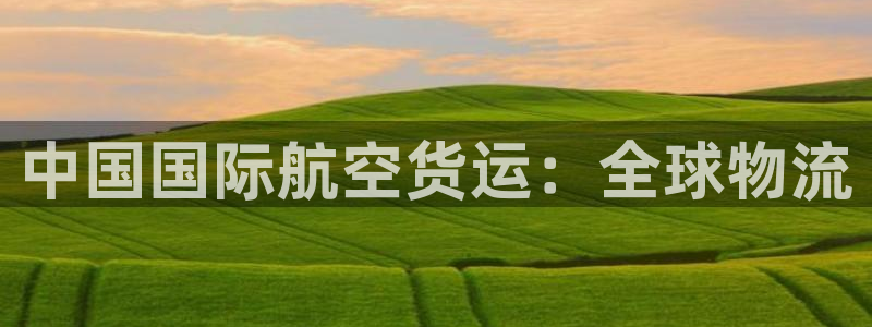 尊龙ag旗舰厅官网登录：中国国际航空货运：全球物流