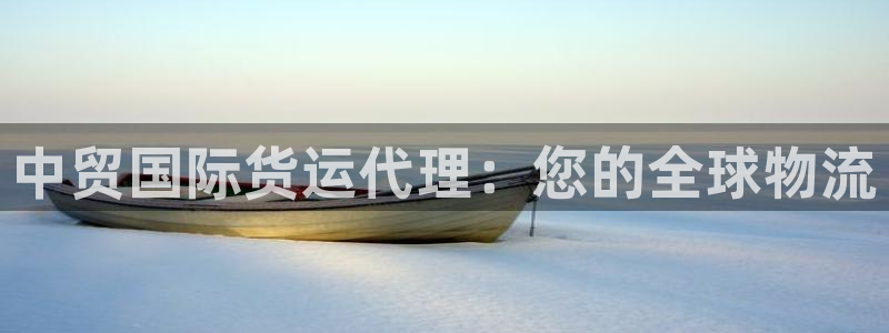 尊龙eight is enough：中贸国际货运代理：您