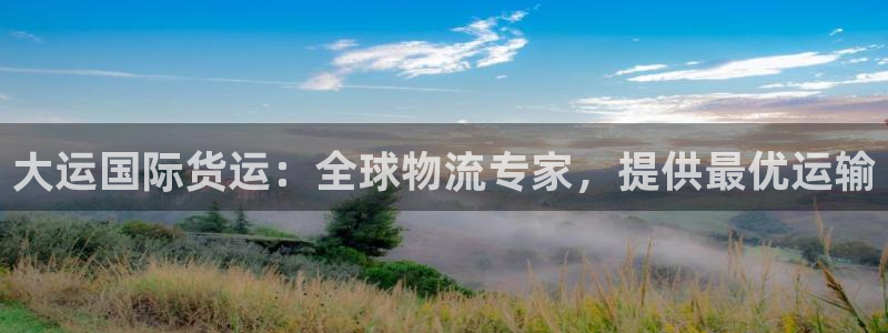 尊龙2021年最新消息：大运国际货运：全球物流专家，提供