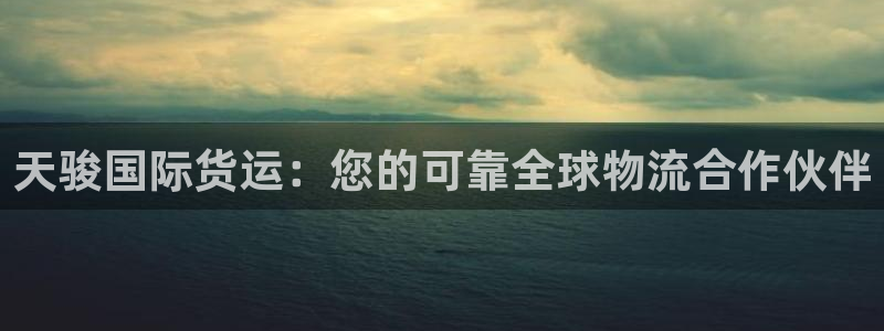尊龙凯时官网：天骏国际货运：您的可靠全球物流合作伙伴