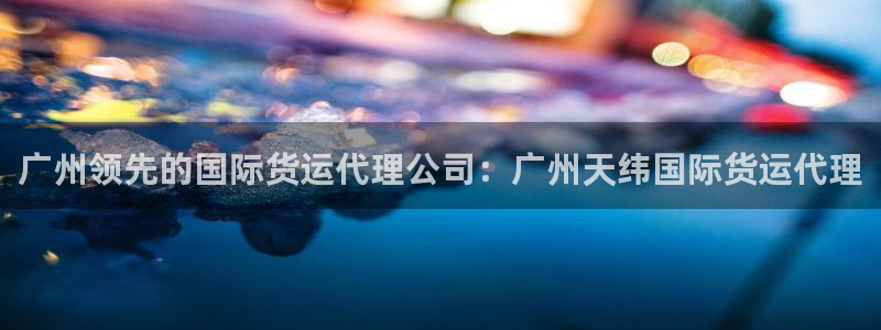 尊龙网站 人生就是博：广州领先的国际货运代理公司：广州天