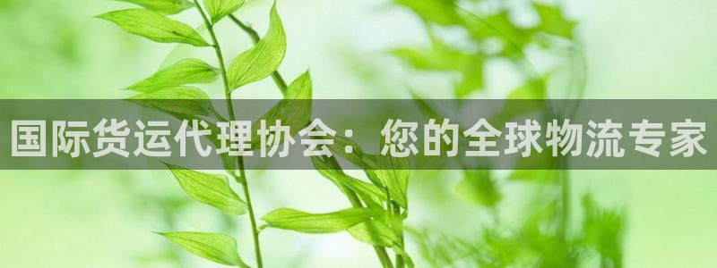 尊龙官网手机版下载：国际货运代理协会：您的全球物流专家