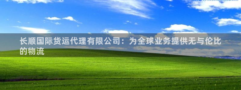 尊龙棋牌老板是谁：长顺国际货运代理有限公司：为全球业务提