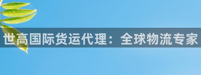d88尊龙手机客户端下载：世高国际货运代理：全球物流专家
