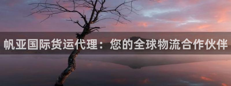 尊龙凯时人生就是博·(中国)官网首页：帆亚国际货运代理：