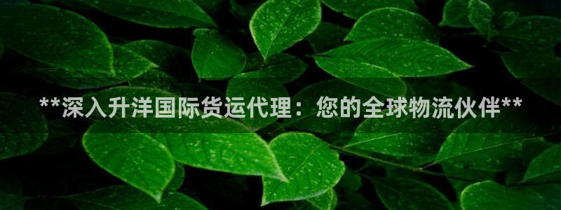尊龙凯时品牌介绍：**深入升洋国际货运代理：您的全球物流